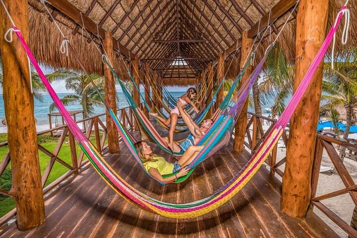Half-Day Snorkeling at Puerto Morelos: Guided Reef Tour from the Riviera Maya photo 3