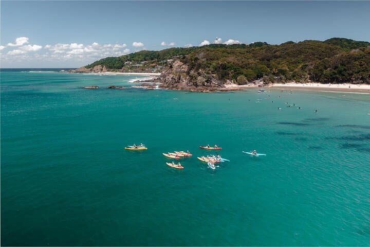 Byron Bay Dolphin Sea Kayak Tour: Paddle With Dolphins & Whales photo 5