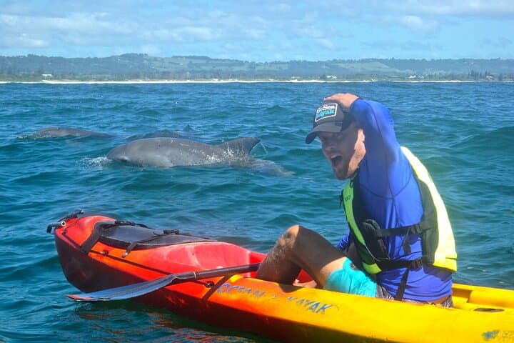 Byron Bay Dolphin Sea Kayak Tour: Paddle With Dolphins & Whales photo 3