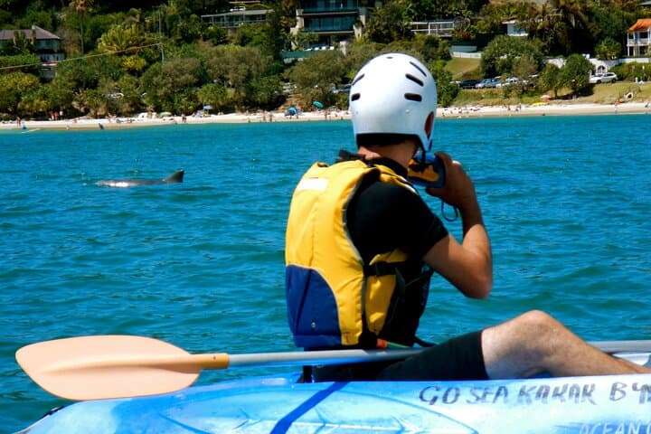 Byron Bay Dolphin Sea Kayak Tour: Paddle With Dolphins & Whales photo 2