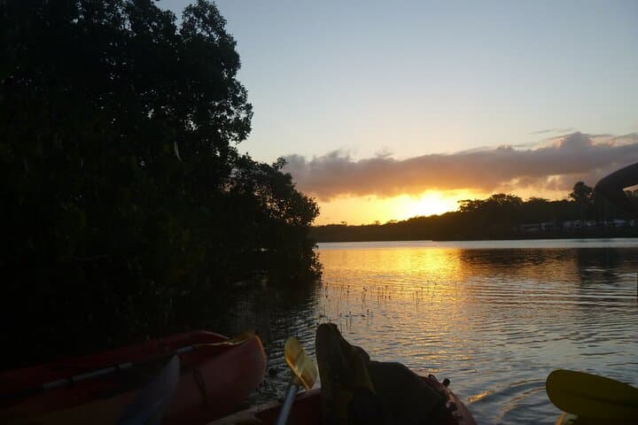 Sunrise Kayaking on the Brunswick River: Dawn Nature Paddle in NSW photo 5