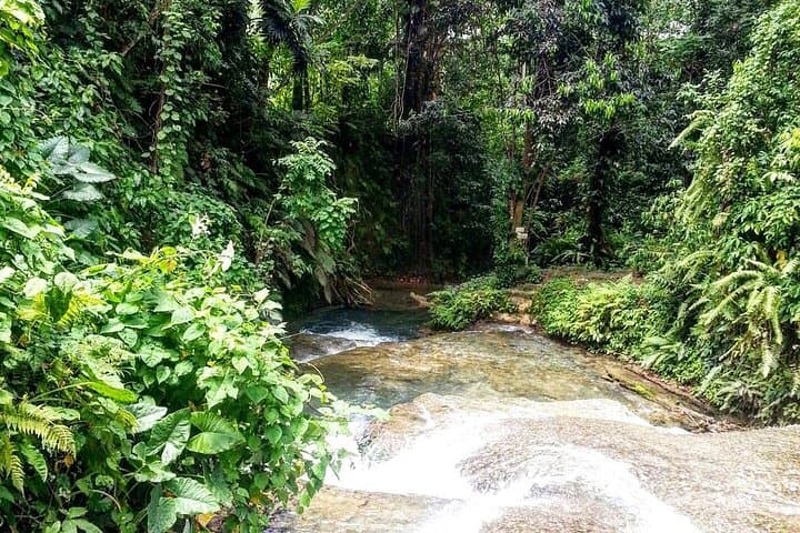 Benta River Falls Day Trip from Montego Bay — Blue Hole, Waterfalls & Rural Jamaica photo 2