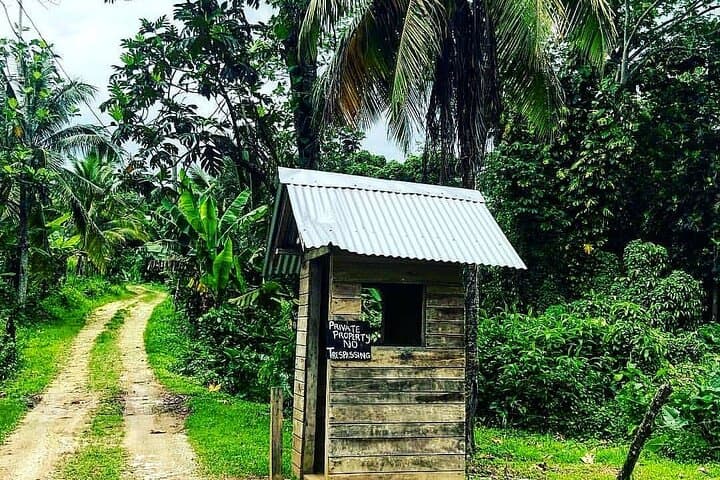 Benta River Falls Day Trip from Montego Bay — Blue Hole, Waterfalls & Rural Jamaica photo 3