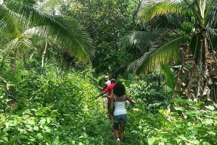 Benta River Falls Day Trip from Montego Bay — Blue Hole, Waterfalls & Rural Jamaica photo 4