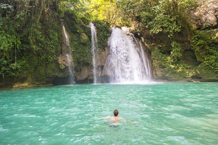 Swim with Oslob Whale Sharks and Chill at Kawasan Falls: Day Tour from Cebu