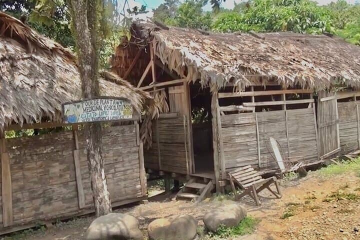 Bribri Chocolate & Cahuita National Park: Day Trip from San José photo 4