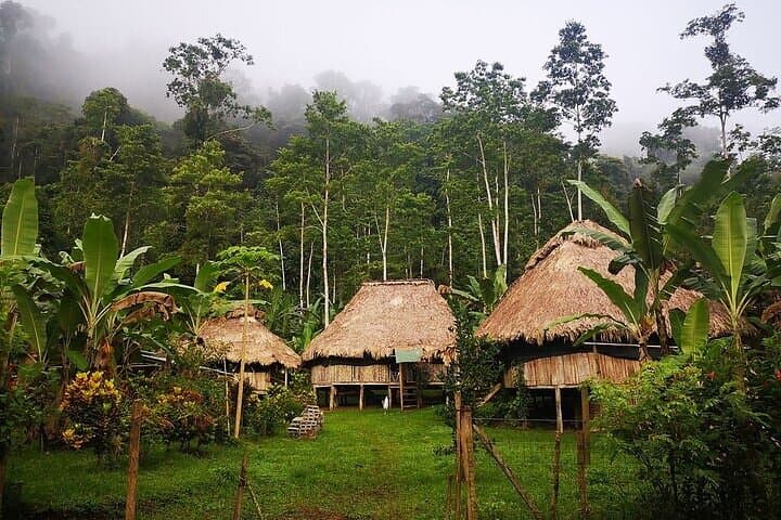 Bribri Chocolate & Cahuita National Park: Day Trip from San José