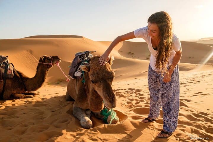 Luxury 2-Day Sahara Desert Trip from Fes: Camel Trek & Erg Chebbi Luxury Camp photo 1