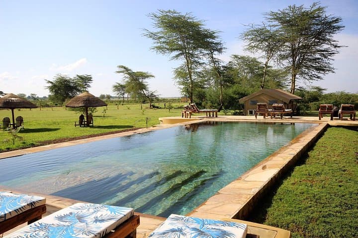 6-Day Private Safari from Arusha: Eastern Great Rift Valley & Ngorongoro Crater photo 5