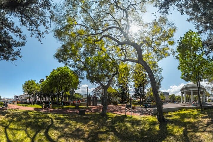 San José Romantic Private Walking Tour — 2-Hour Couples City Stroll photo 2