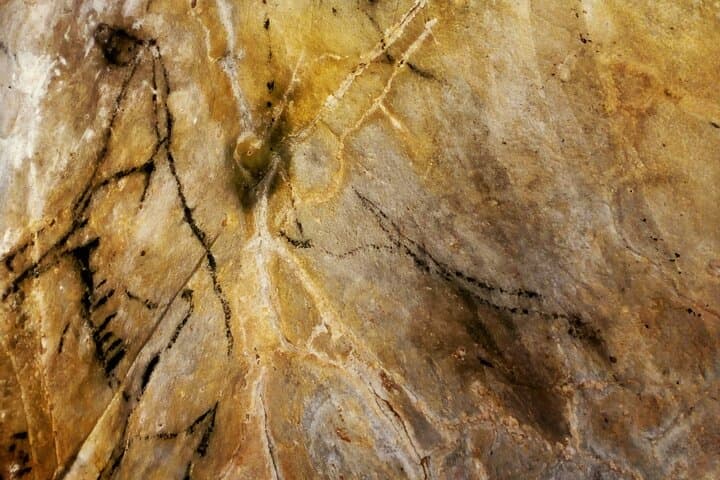 Exploring El Castillo and Las Monedas: Paleolithic Cave Art Tour from Santander photo 5