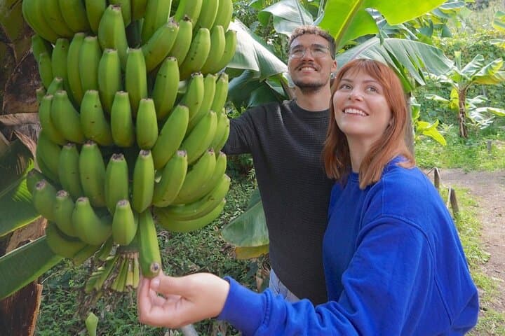 Inside La Gomera’s Ethnographic Park: Self-Guided Farm, Mill & Cultural Walk photo 6