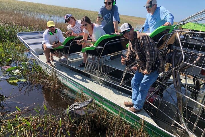 60-Minute Everglades Airboat Ride from Miami — Small-Group Wetlands Adventure photo 1