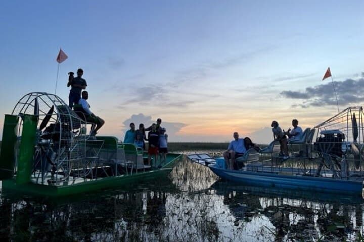 60-Minute Everglades Airboat Ride from Miami — Small-Group Wetlands Adventure photo 2