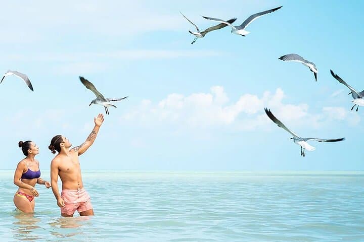 Holbox Island Day Escape: Beaches, Wildlife & Shallow Caribbean Waters photo 2
