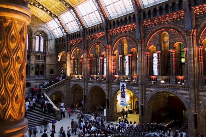 Inside London's Natural History Museum: Private Half-Day Guided Tour photo 3