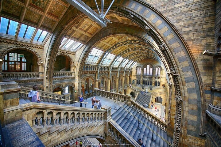 Inside London's Natural History Museum: Private Half-Day Guided Tour