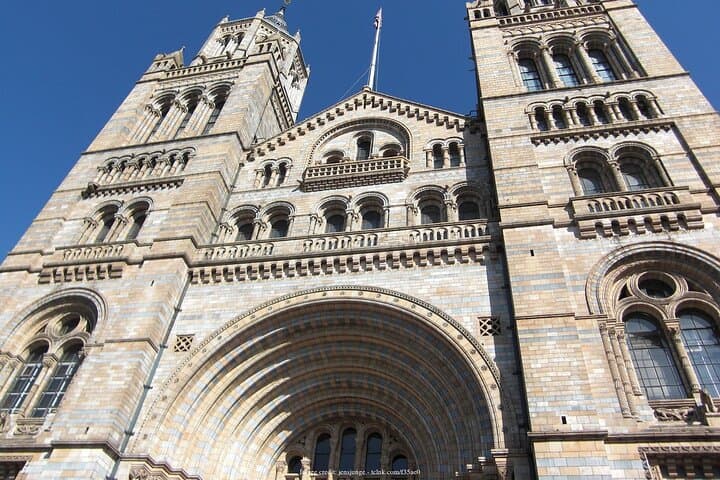 Inside London's Natural History Museum: Private Half-Day Guided Tour photo 5