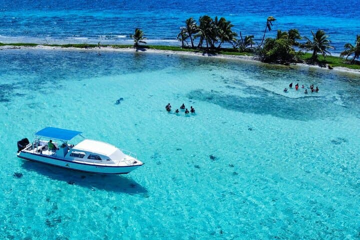 Half-Day Snorkel to Laughing Bird Caye — Belize Reef Adventure from Placencia