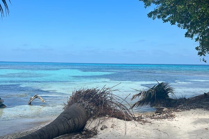 Half-Day Snorkel to Laughing Bird Caye — Belize Reef Adventure from Placencia photo 3