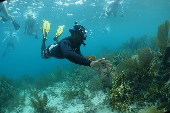 Half-Day Snorkel to Laughing Bird Caye — Belize Reef Adventure from Placencia photo 2