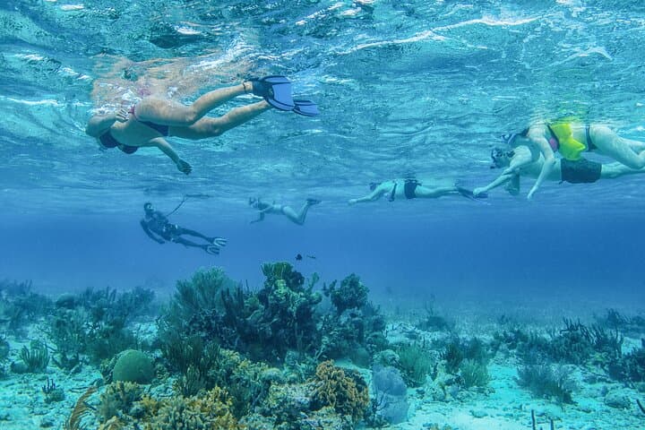 Half-Day Snorkel to Laughing Bird Caye — Belize Reef Adventure from Placencia photo 4