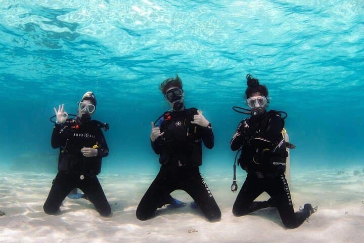 Tahiti Level 1 Scuba Course — 0–20m Intro Certification in the Lagoon photo 2