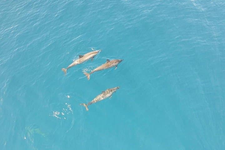 Best of Tahiti Snorkel Excursion: Papeete to Maraa Reef Adventures photo 2