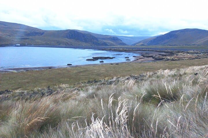 Antisana Volcano Private Tour — Mica Lagoon Wildlife, High-Altitude Views & Local Breakfast photo 5