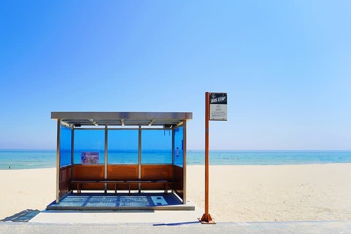 In the SOOP BTS Ver. PyeongChang Filming Location: One-Day Bus Tour Guide photo 6