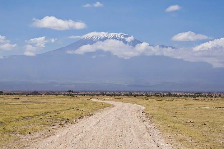 2-Day Amboseli National Park Safari — Elephants, Big Game & Kilimanjaro Views photo 4