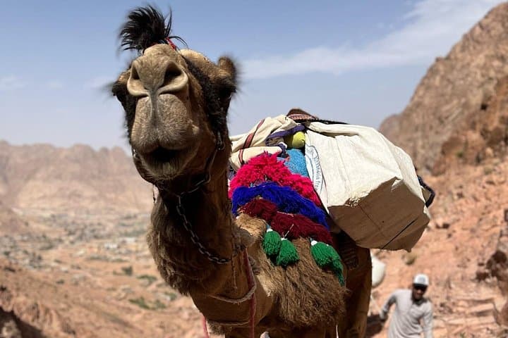 Mount Sinai Sunrise Hike & St Catherine Monastery Day Trip from Sharm El Sheikh photo 4