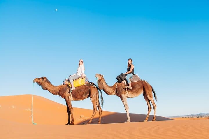 Agadir & Taghazout 4x4 Day Trip: Coastal Dunes, Tiznit & Berber Lunch photo 4
