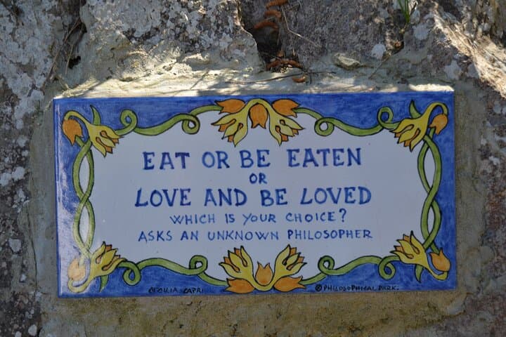 Capri and the Blue Grotto: Day Tour from Sorrento - Small-Group Experience photo 6