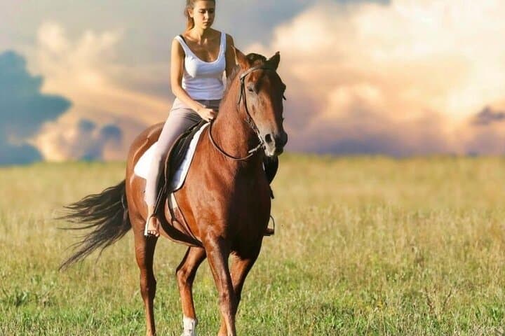 Kusadasi Horse Riding on Pamucak Beach and River Safari photo 2