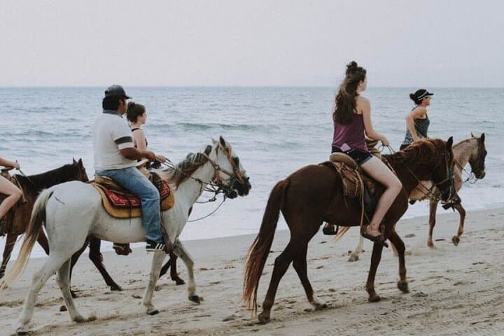 Kusadasi Horse Riding on Pamucak Beach and River Safari