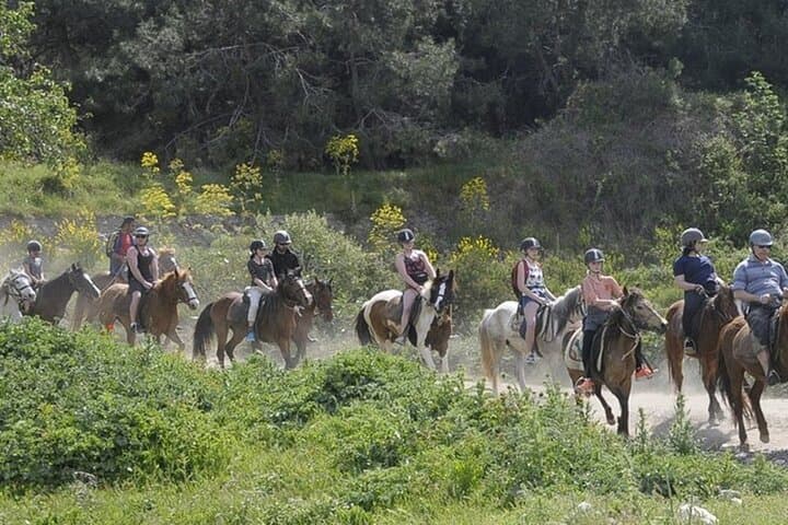 Kusadasi Horse Riding on Pamucak Beach and River Safari photo 4