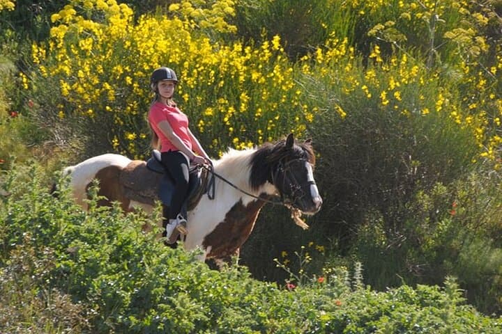 Kusadasi Horse Riding on Pamucak Beach and River Safari photo 5