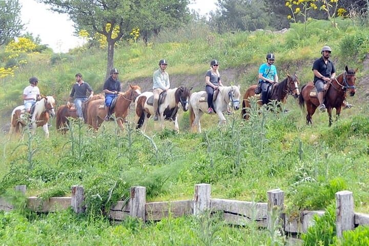 Kusadasi Horse Riding on Pamucak Beach and River Safari photo 6