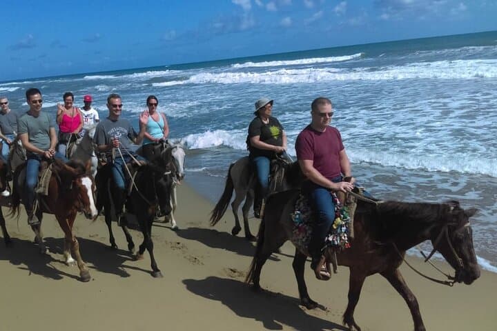 Cabarete Horseback Riding: Beach-to-Mountain Atlantic Ride (2–3 Hours)