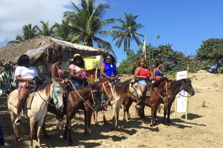 Cabarete Horseback Riding: Beach-to-Mountain Atlantic Ride (2–3 Hours) photo 5