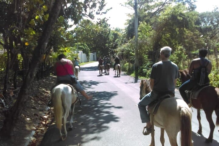 Cabarete Horseback Riding: Beach-to-Mountain Atlantic Ride (2–3 Hours) photo 6
