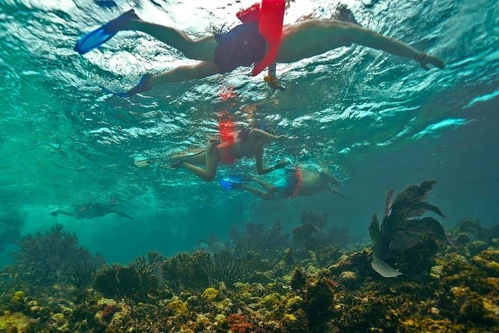 Isla Mujeres Snorkel Cruise from Cancun with Lunch and Hotel Pickup photo 4