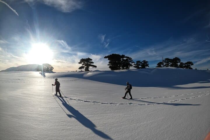 Snowshoeing the Pollino National Park: Winter Trek Through Calabria's High Forests photo 2
