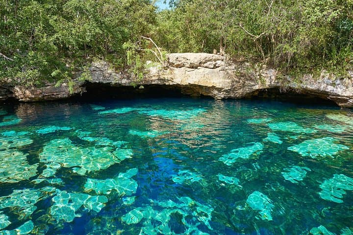 Half-Day Private Snorkel with Akumal Turtles and Majestic Cenotes photo 4