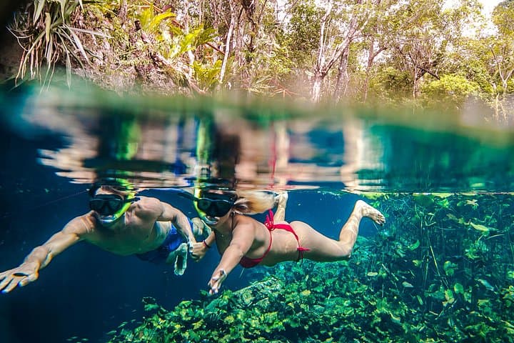 Half-Day Private Snorkel with Akumal Turtles and Majestic Cenotes photo 5
