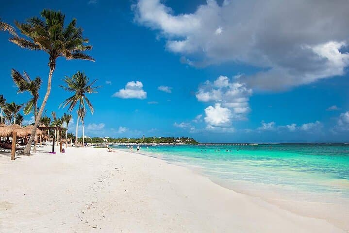 Half-Day Private Snorkel with Akumal Turtles and Majestic Cenotes photo 6