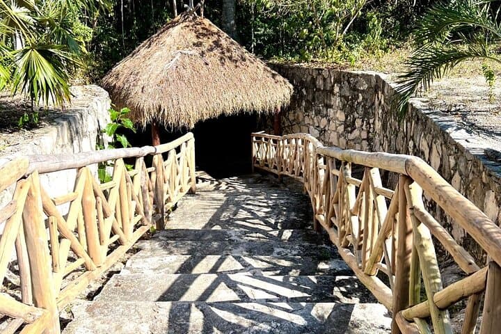 Tulum Cenotes Tour: Dos Ojos & Gran Cenote — Ruins, Snorkeling & Turtles photo 5