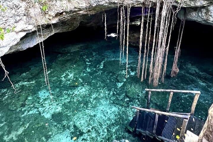 Tulum Cenotes Tour: Dos Ojos & Gran Cenote — Ruins, Snorkeling & Turtles photo 6