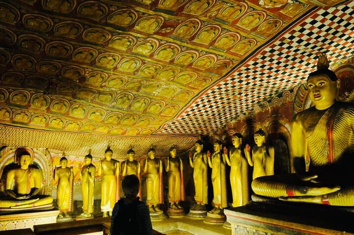 Sigiriya, Dambulla & Minneriya: Private Day Trip from Kandy photo 4